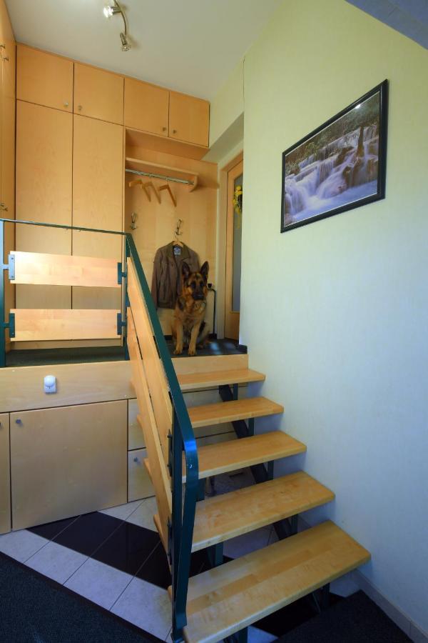 Ferienappartement Regina Schrems  エクステリア 写真